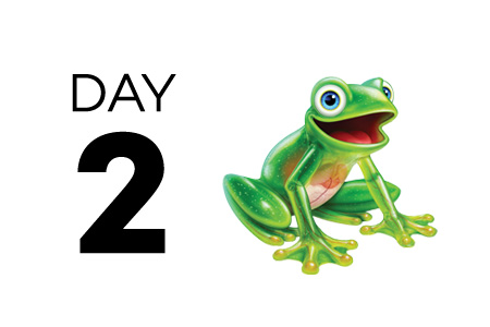 Day 2