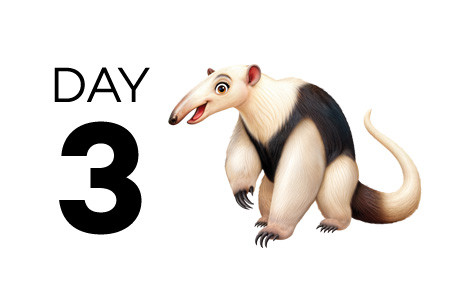 Day 3