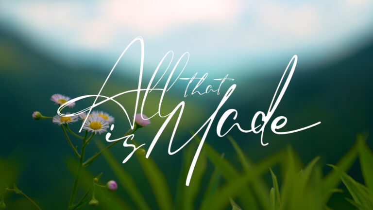 All That is Made sermon series