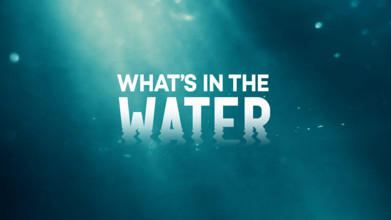 What's in the Water